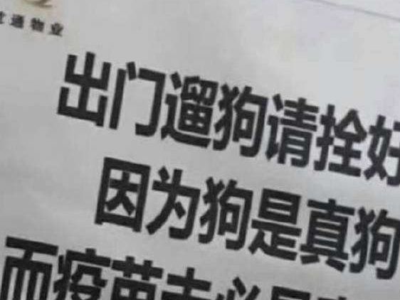 杭州失踪女子终迎圆满结局，喜讯传来暖人心