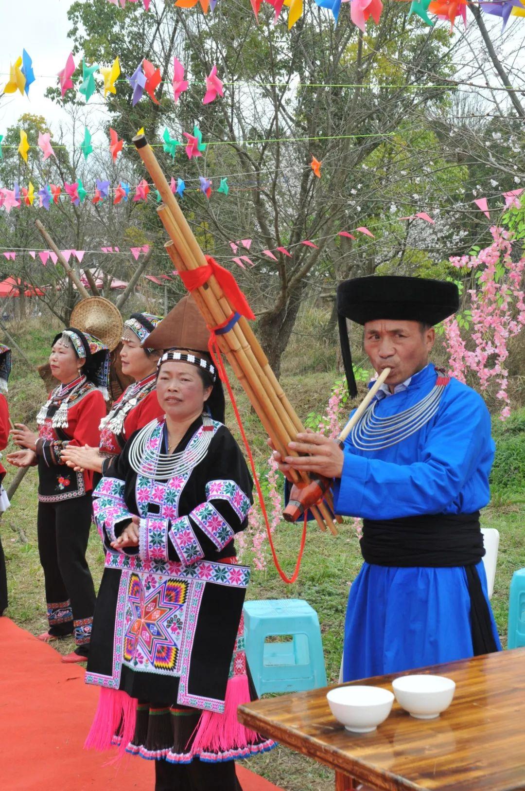 探索樱花校园的最新篇章，共赴青春美好之旅！