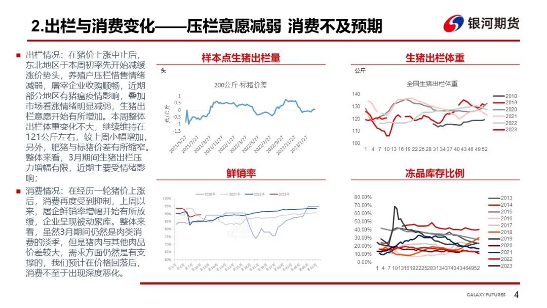 明日生猪市场喜讯连连，价格走势看涨展望