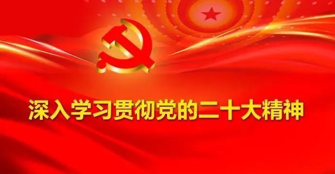 张津化2023年绽放新篇章，喜讯连连！