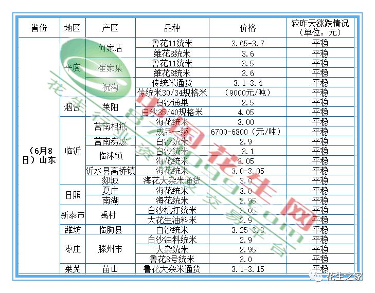 最新花生市价动态速递