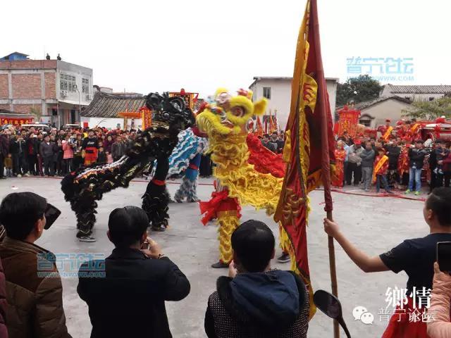 普宁市热门论坛最新报道：惊心一幕，惨烈车祸现场速递