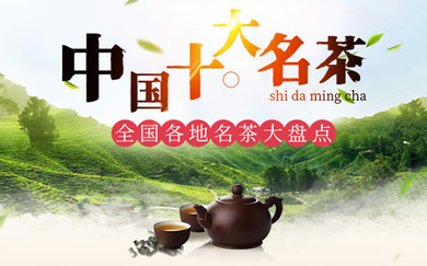 探索前沿：全新上市的茶叶品种大盘点